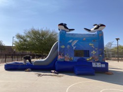 IMG 1201 1754086748 Under the Sea Bounce House With Water Slide