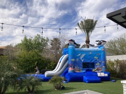 IMG 6324 1754086747 Under the Sea Bounce House With Water Slide