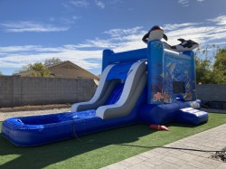 IMG 9714 1754086749 Under the Sea Bounce House With Water Slide