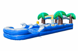 35ft dual lane slip and slide